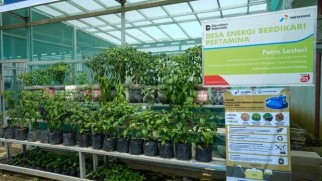 Inovação da Pertamina transforma palha em água