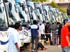 Ministério dos Transportes disponibiliza Regresso a Casa gratuito nas férias de Natal em autocarro para 3.090 passageiros, veja como se inscrever